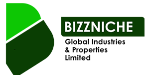 BIZZNICHE GLOBAL INDUSTRIES AND PROPERTIES LIMITED