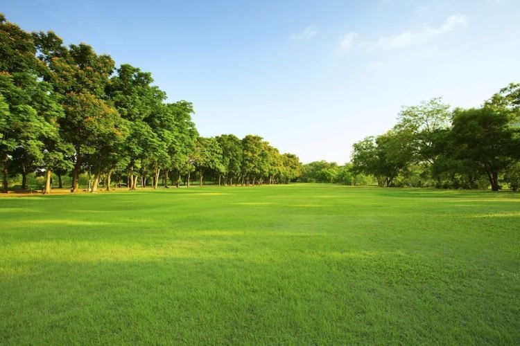 buy-sell-land